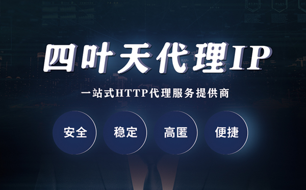 【咸宁代理IP】代理ip客户端使用教程